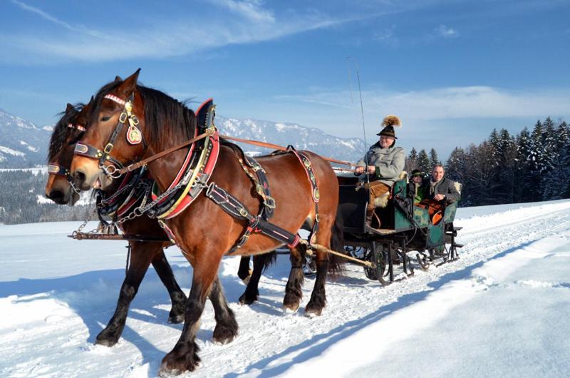Hotel Unterwoetzlhof Abtenau Esterno foto