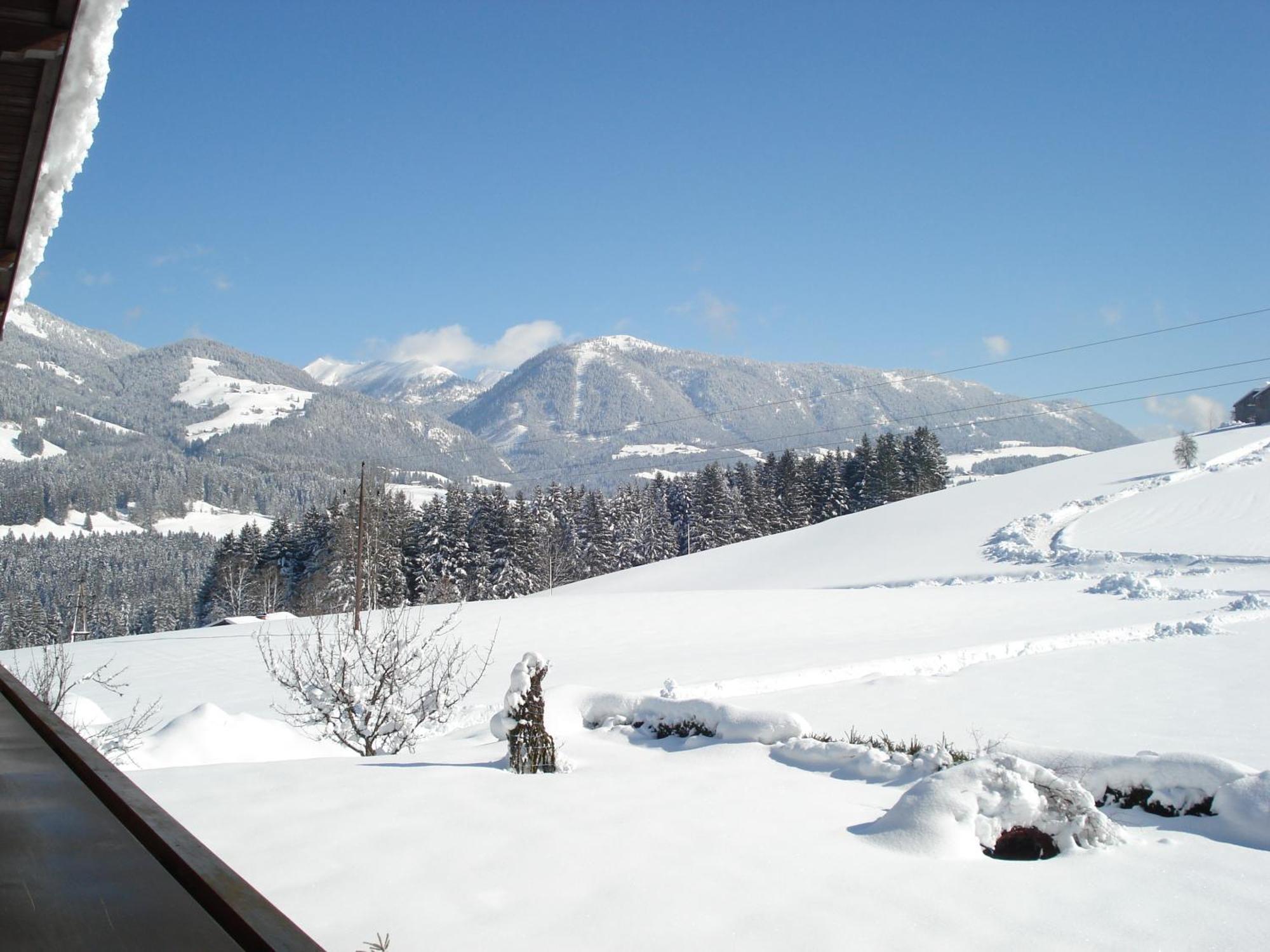 Hotel Unterwoetzlhof Abtenau Esterno foto
